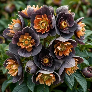 Морозник Блум Айс купить по цене от 499р. в интернет-магазине «Посадика» с доставкой почтой в в Каслие и по всей России – [изображение №1].