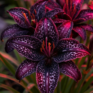 Лилейник Вояж купить по цене от 699р. в интернет-магазине «Посадика» с доставкой почтой в в Каслие и по всей России – [изображение №1].